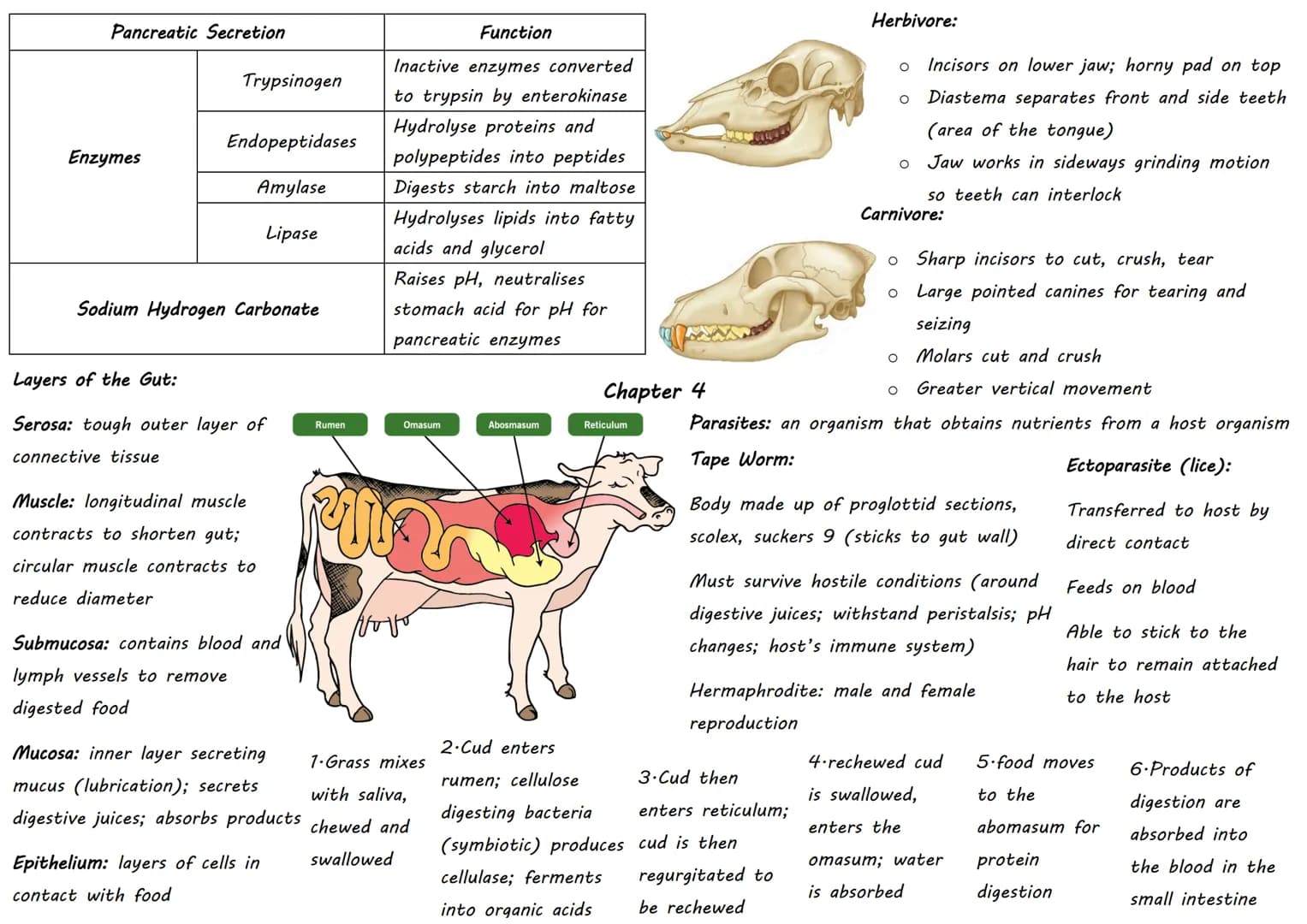 DOMAIN Classification:
KINGDOM
PHYLUM
CLASS
ORDER
FAMILY
GENUS
SPECIES

- Sorting organisms into
groups
- Hierarchical: smaller
groups are c