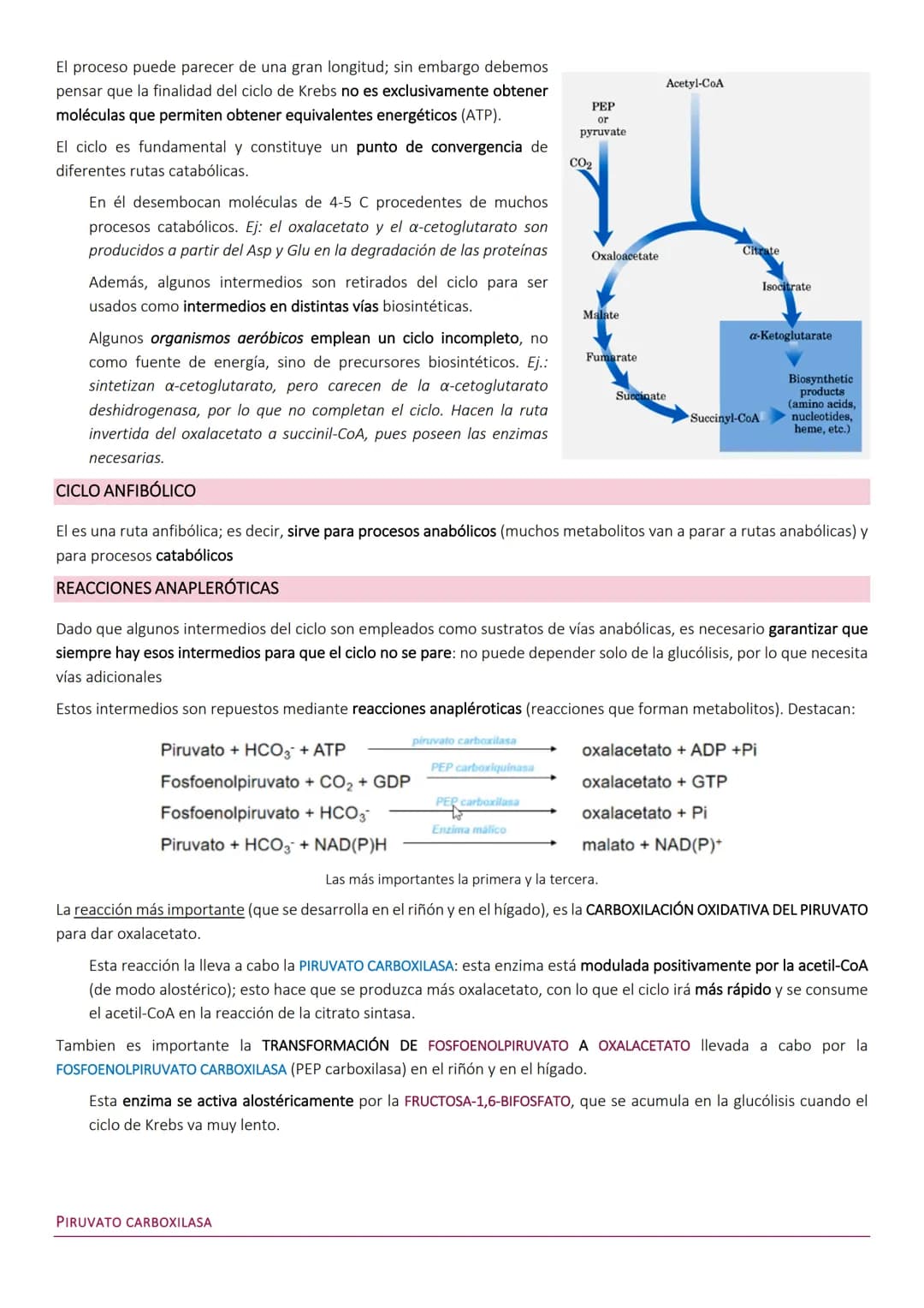# Ciclo de Krebs.

El ciclo de Krebs, de los ácidos tricarboxílicos o del ácido cítrico, consiste en una
serie de reacciones que van a permi