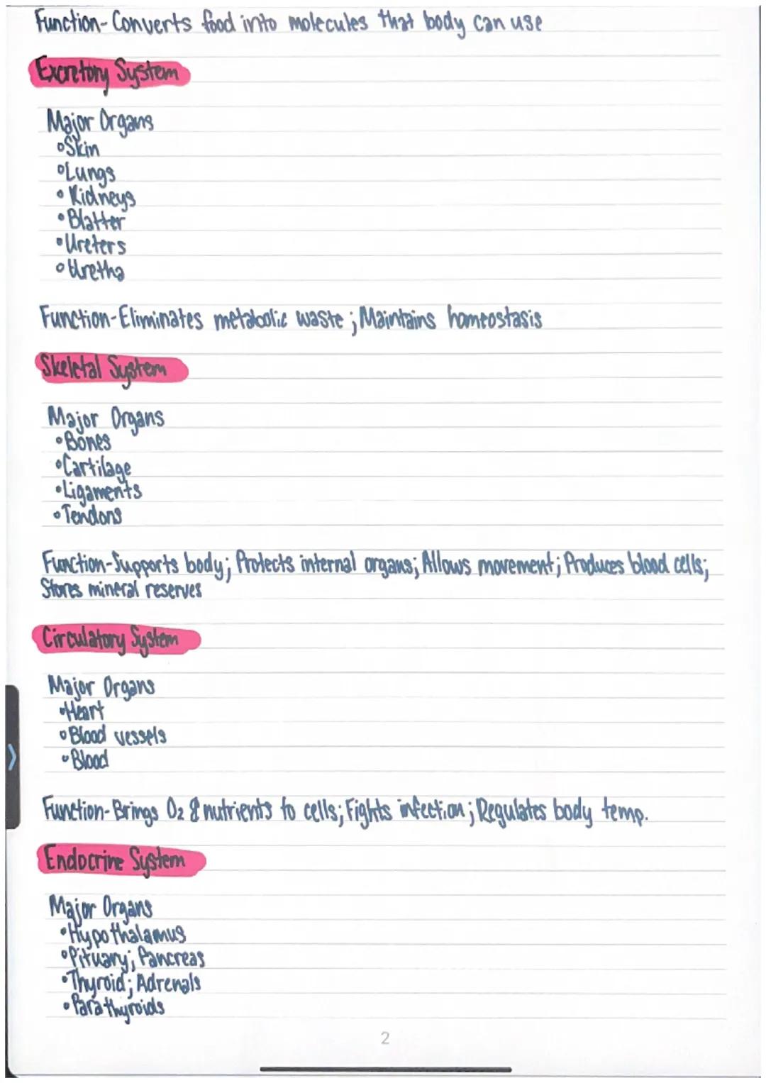 Human Body Systems

Nervous System
Major Organs
Brain
•Spinal Cord
•Peripheral Nerves

Function-Coordinates the body's response to changes i