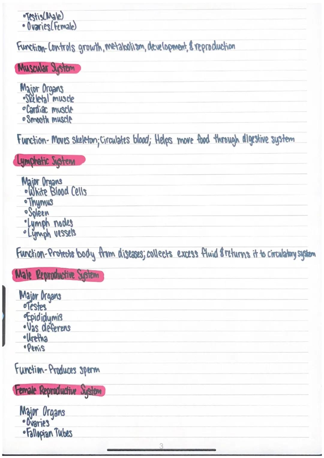 Human Body Systems

Nervous System
Major Organs
Brain
•Spinal Cord
•Peripheral Nerves

Function-Coordinates the body's response to changes i