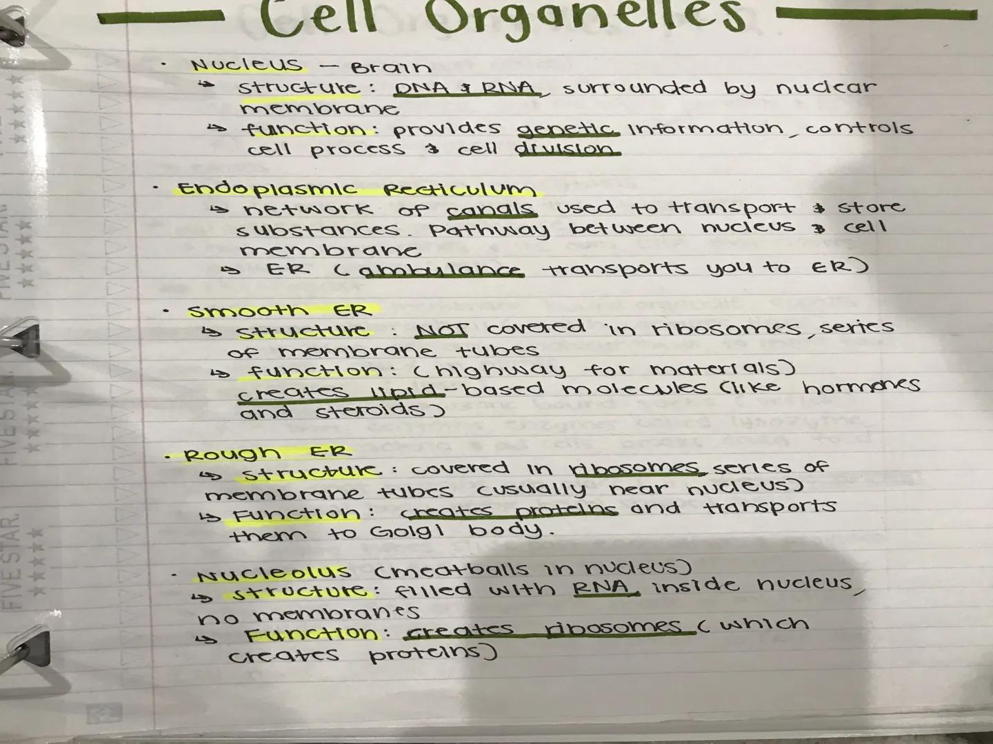 - Cell Organelles

- Nucleus - Brain
    - structure: DNA & RNA surrounded by nuclear
      membrane
    - function: provides genetic Inform