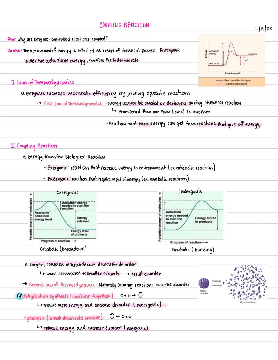 # COUPLING REACTION

Aim: why are enzyme-controlled reactions coupled?

Do now: The net amount of energy is collected as result of chemical 