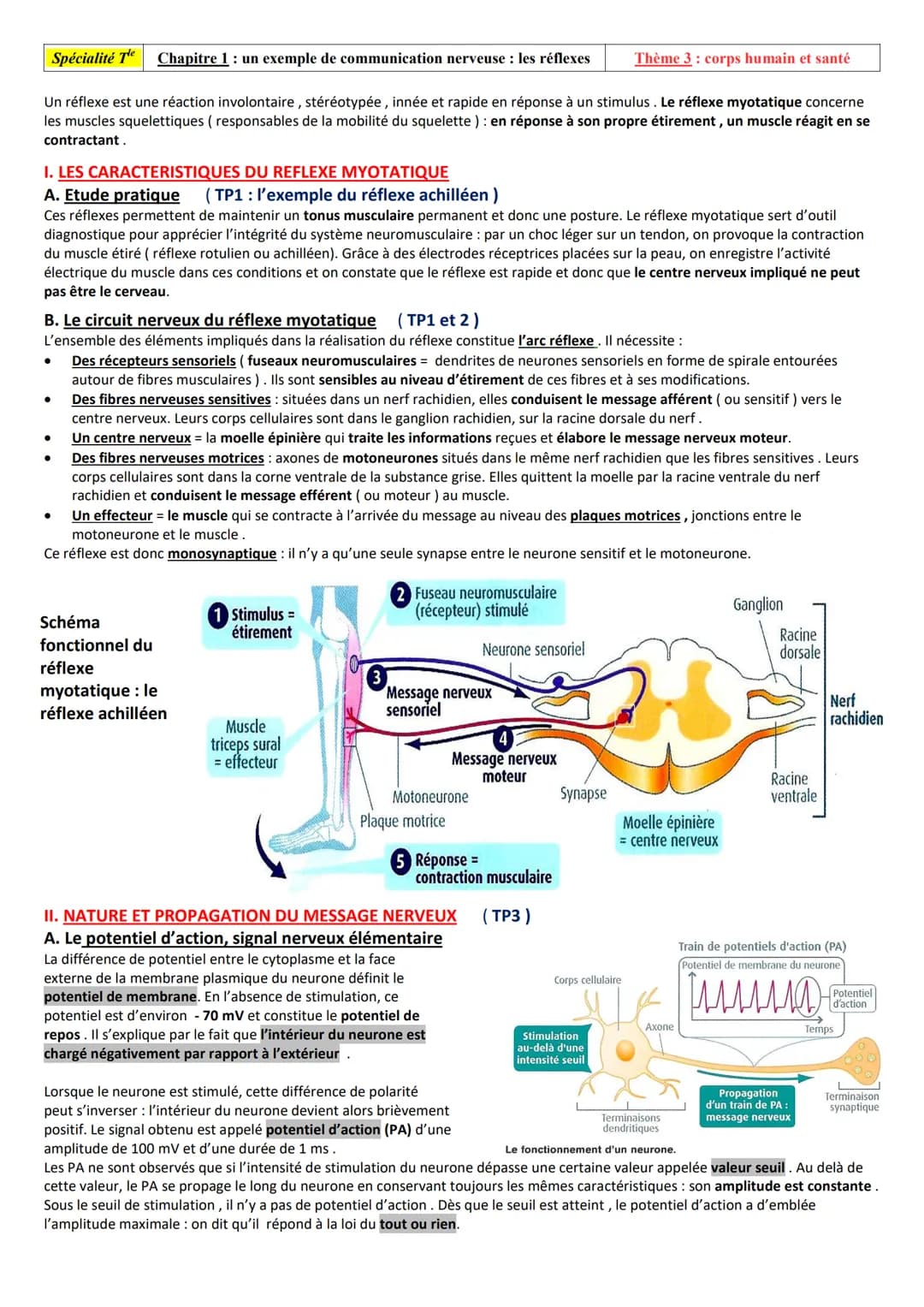 # Spécialité Te Chapitre 1: un exemple de communication nerveuse: les réflexes
Thème 3: corps humain et santé

Un réflexe est une réaction i
