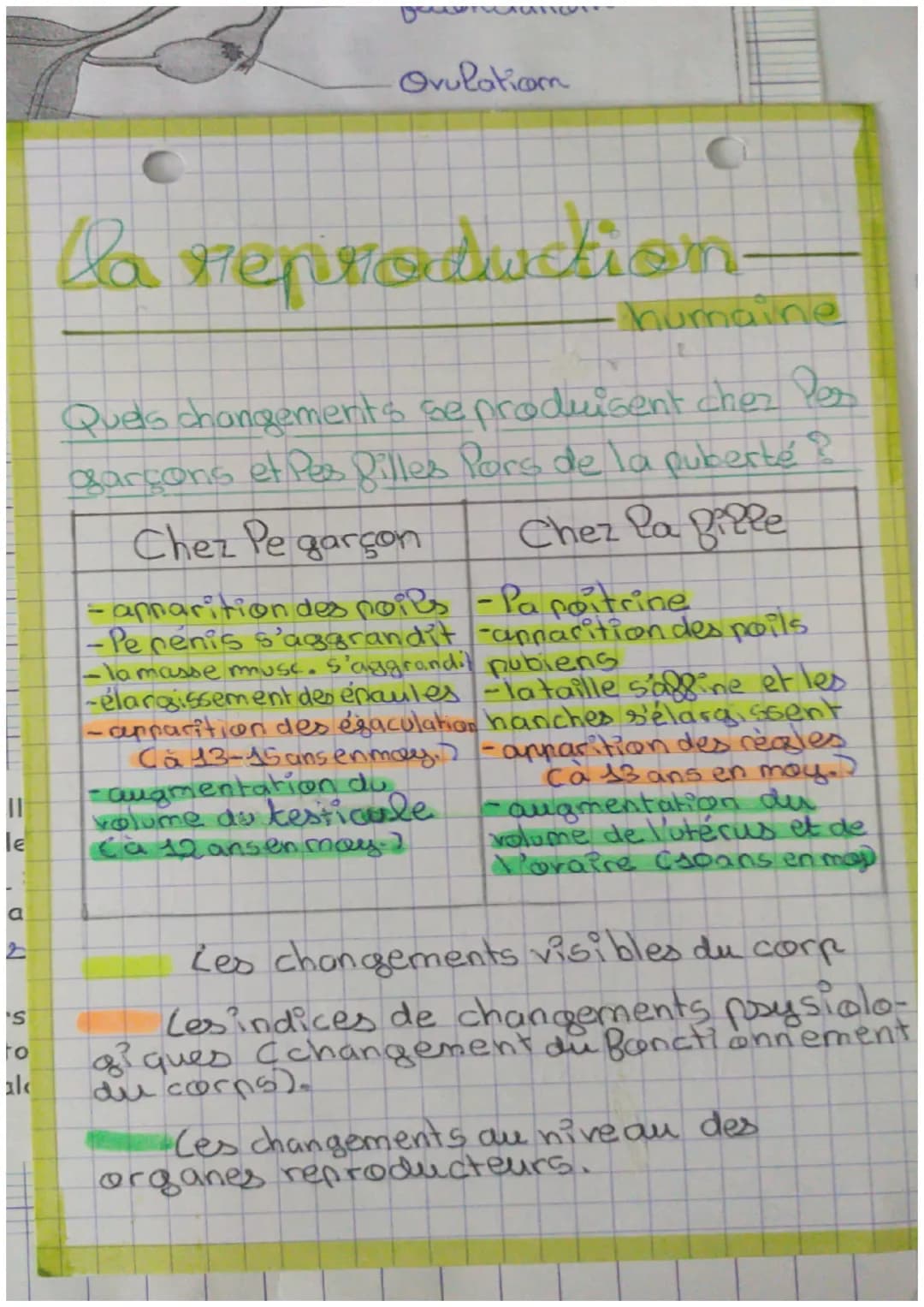 Ovulatiom

la reproduction

humaine

Quels changements se produisent chez Pes
garçons et Pes filles Pors de la puberté?

| Chez Pe garçon | 