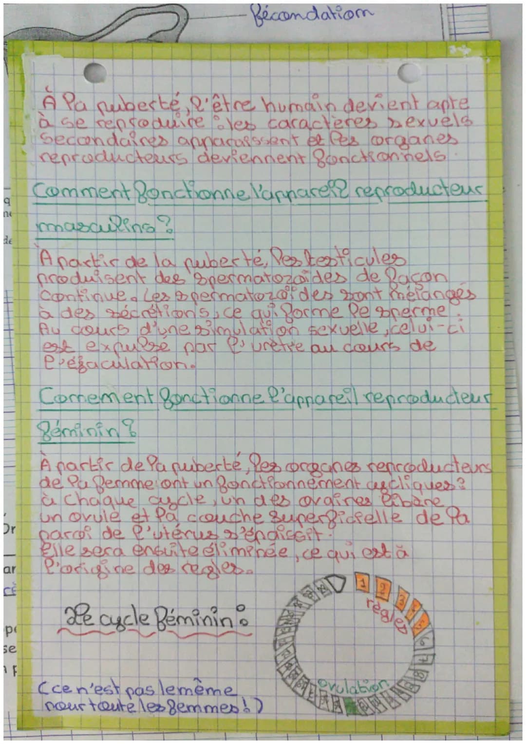 Ovulatiom

la reproduction

humaine

Quels changements se produisent chez Pes
garçons et Pes filles Pors de la puberté?

| Chez Pe garçon | 