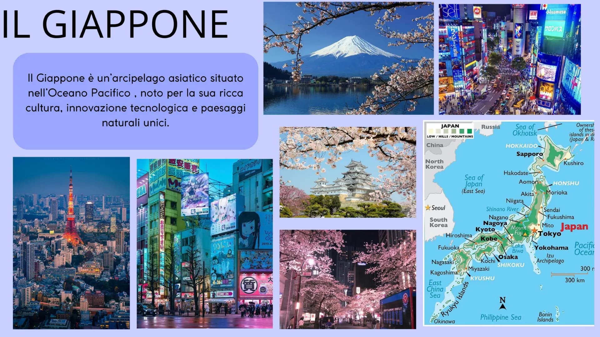 TESINA TERZA MEDIA
IL GIAPPONE Educazione civica - Usi e
costumi della geisha

Arte - La Grande Onda di
Kanagawa

Scienze - Vulcani e
terrem