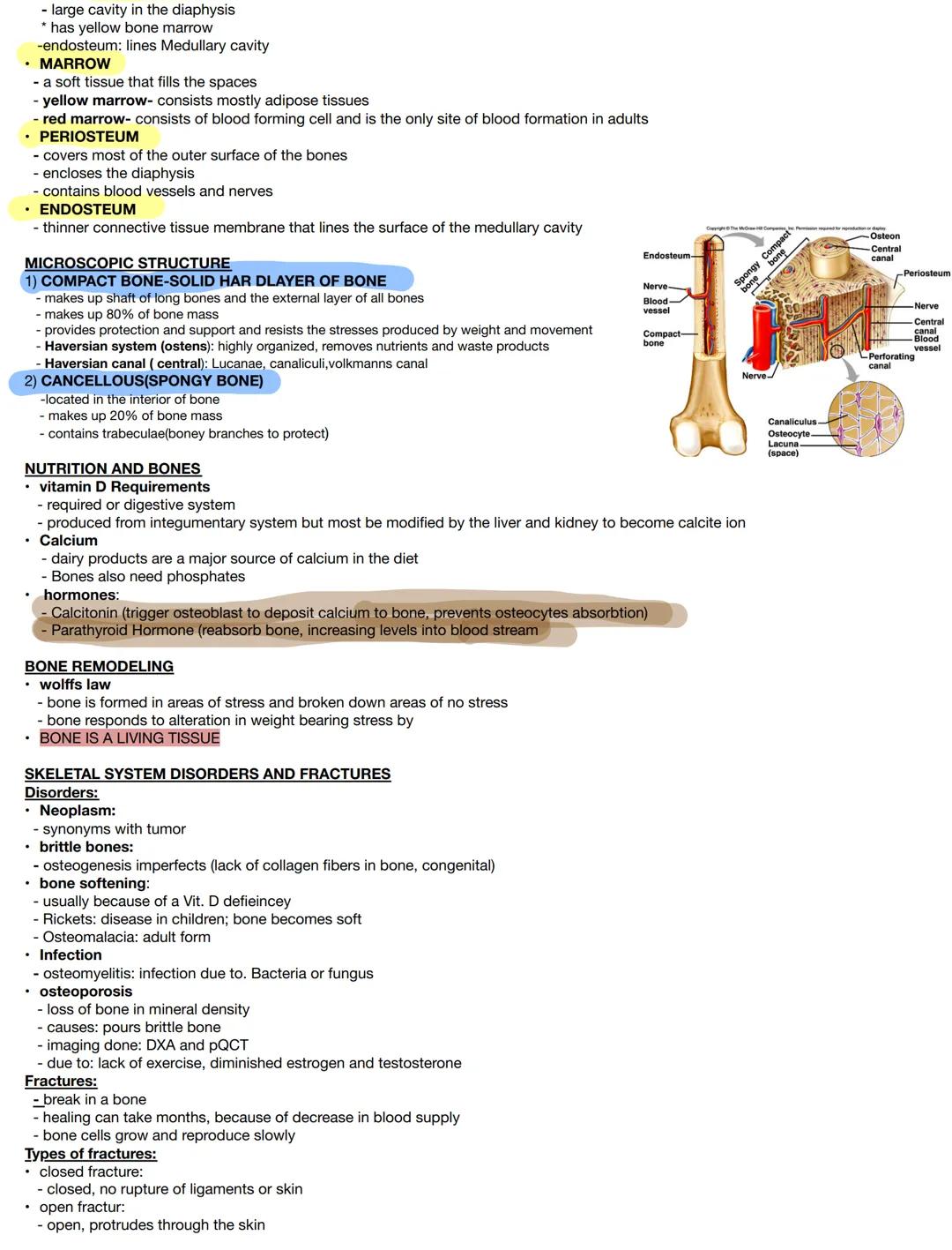 Test on :
Components:
- bones
- Joints & associated cartilages

Medical terms:
- osteo

Skeletal:
- derived from Greek word meaning "dried"
