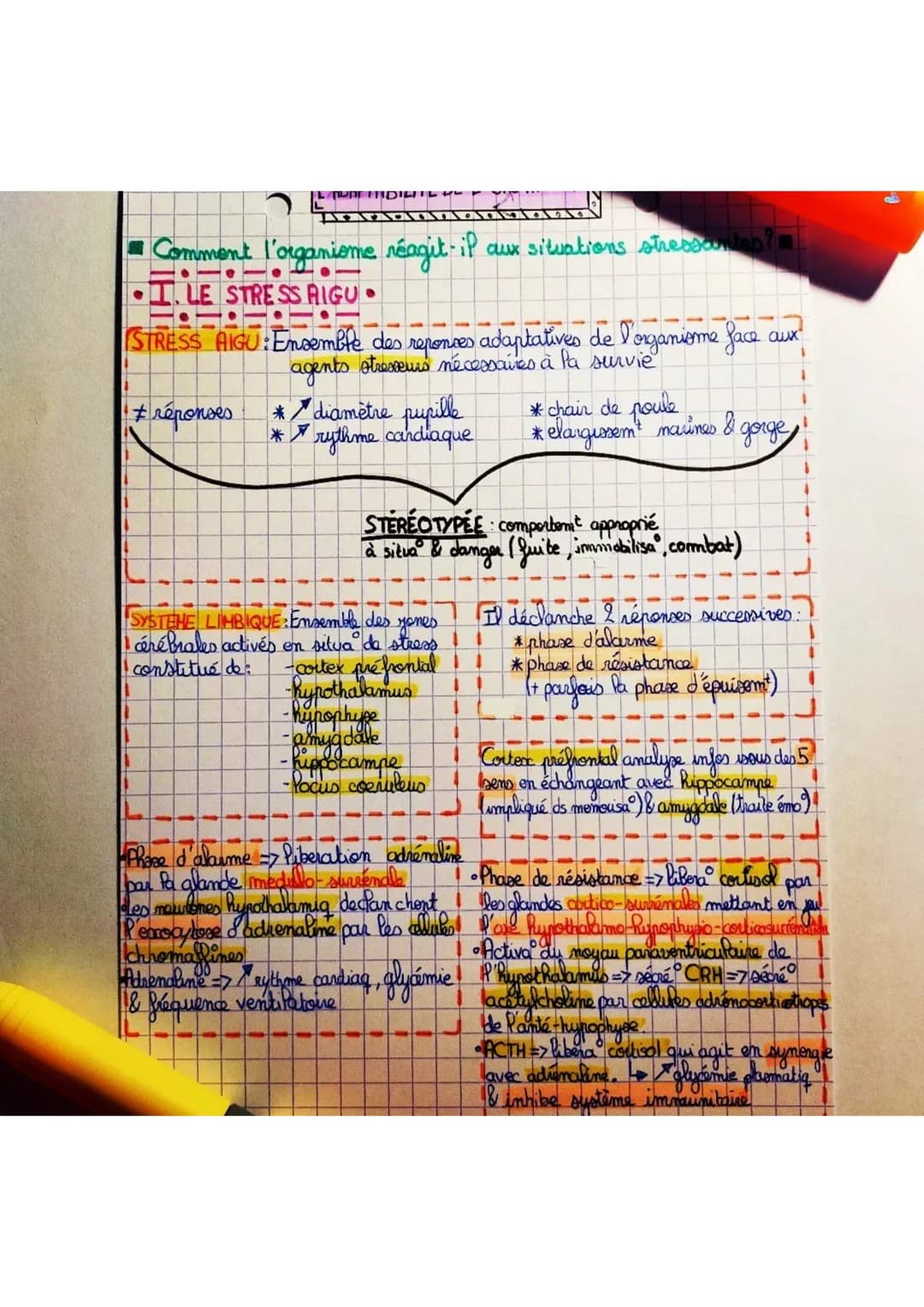 - Comment l'organiome réagit-il aux situations stressantes?

- I. LE STRESS AIGU.

STRESS AIGU: Ensemble des reponces adaptatives de l'organ
