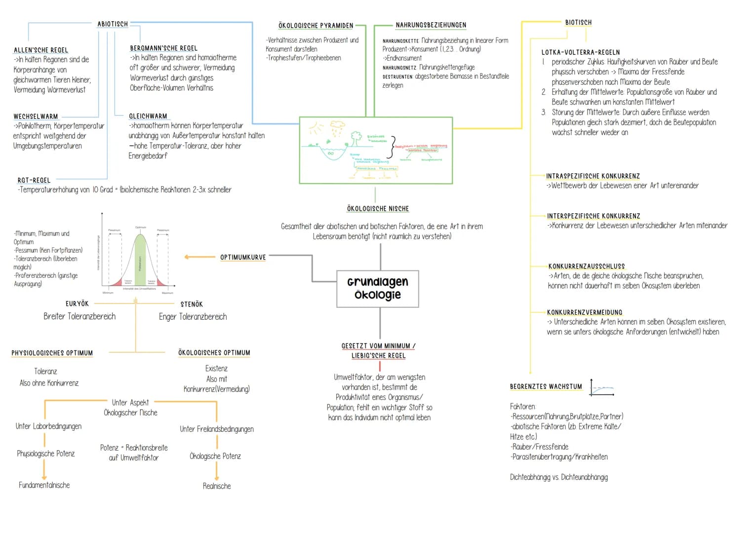 Genetik # Helicase
(Entspiralisierung
Lösen der Basen)
↓
- Einzelsträngige Proteine
verhindern
Wiederverbindung

- DNA-Polymerase
synthetisi