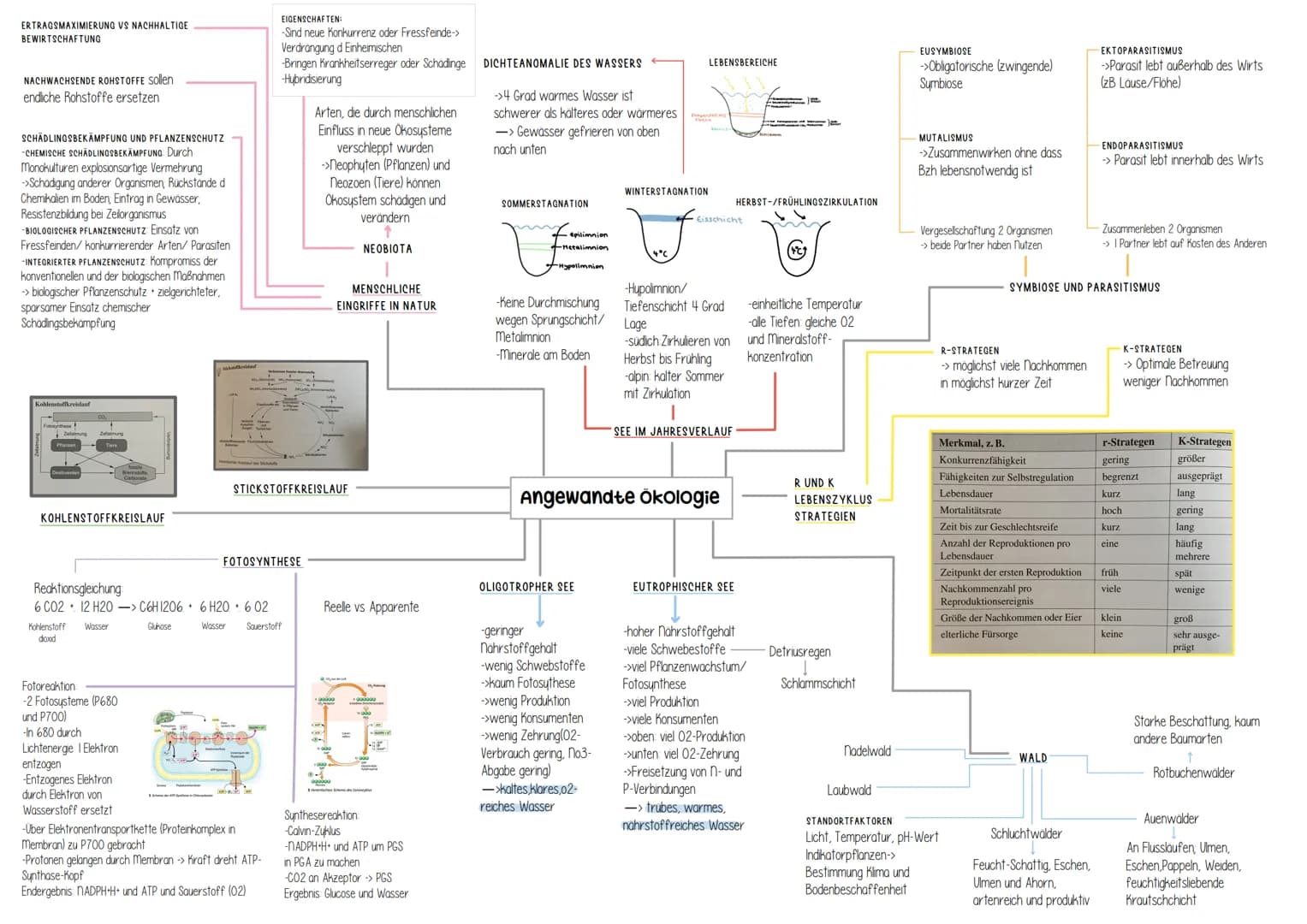 Genetik # Helicase
(Entspiralisierung
Lösen der Basen)
↓
- Einzelsträngige Proteine
verhindern
Wiederverbindung

- DNA-Polymerase
synthetisi