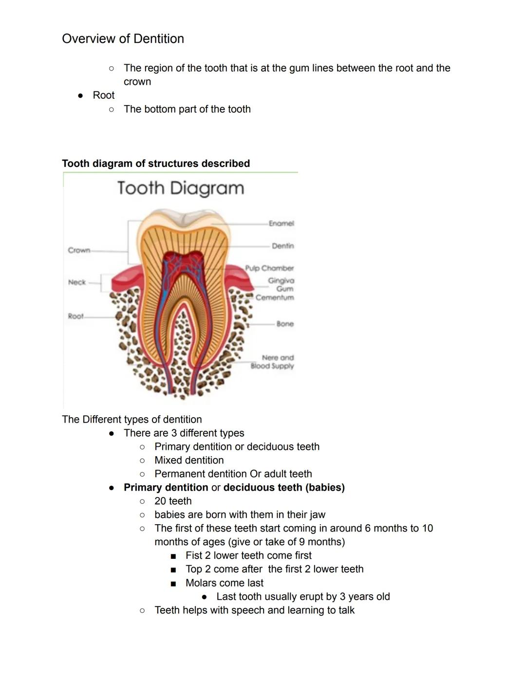 # Overview of Dentition

What we should know this chapter.

1. Dentition- describes the natural teeth in the jawbone
2. The dental assistant