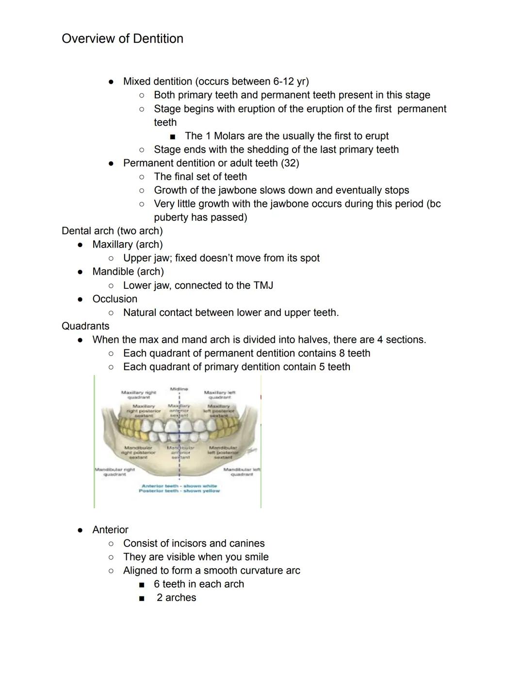 # Overview of Dentition

What we should know this chapter.

1. Dentition- describes the natural teeth in the jawbone
2. The dental assistant