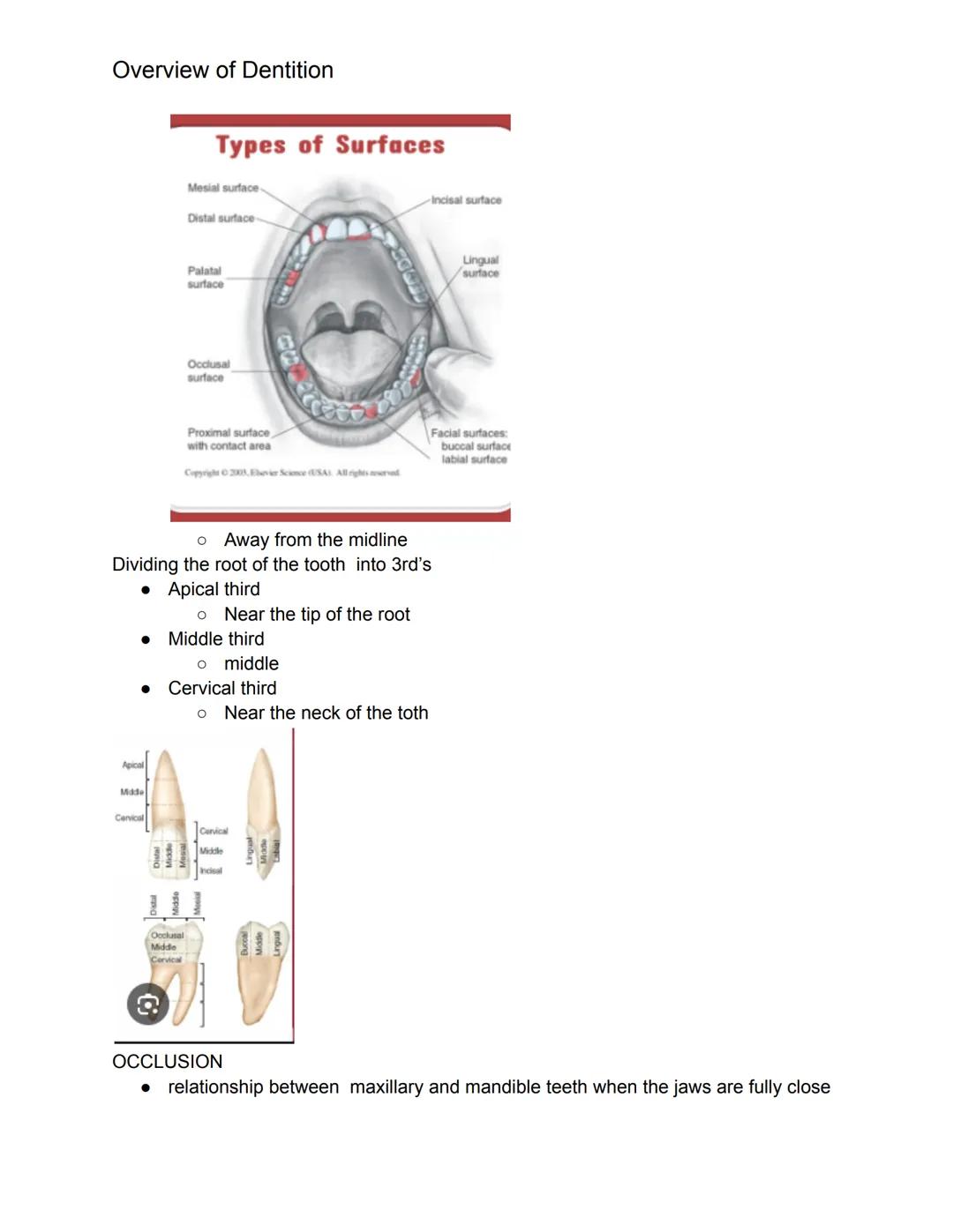# Overview of Dentition

What we should know this chapter.

1. Dentition- describes the natural teeth in the jawbone
2. The dental assistant