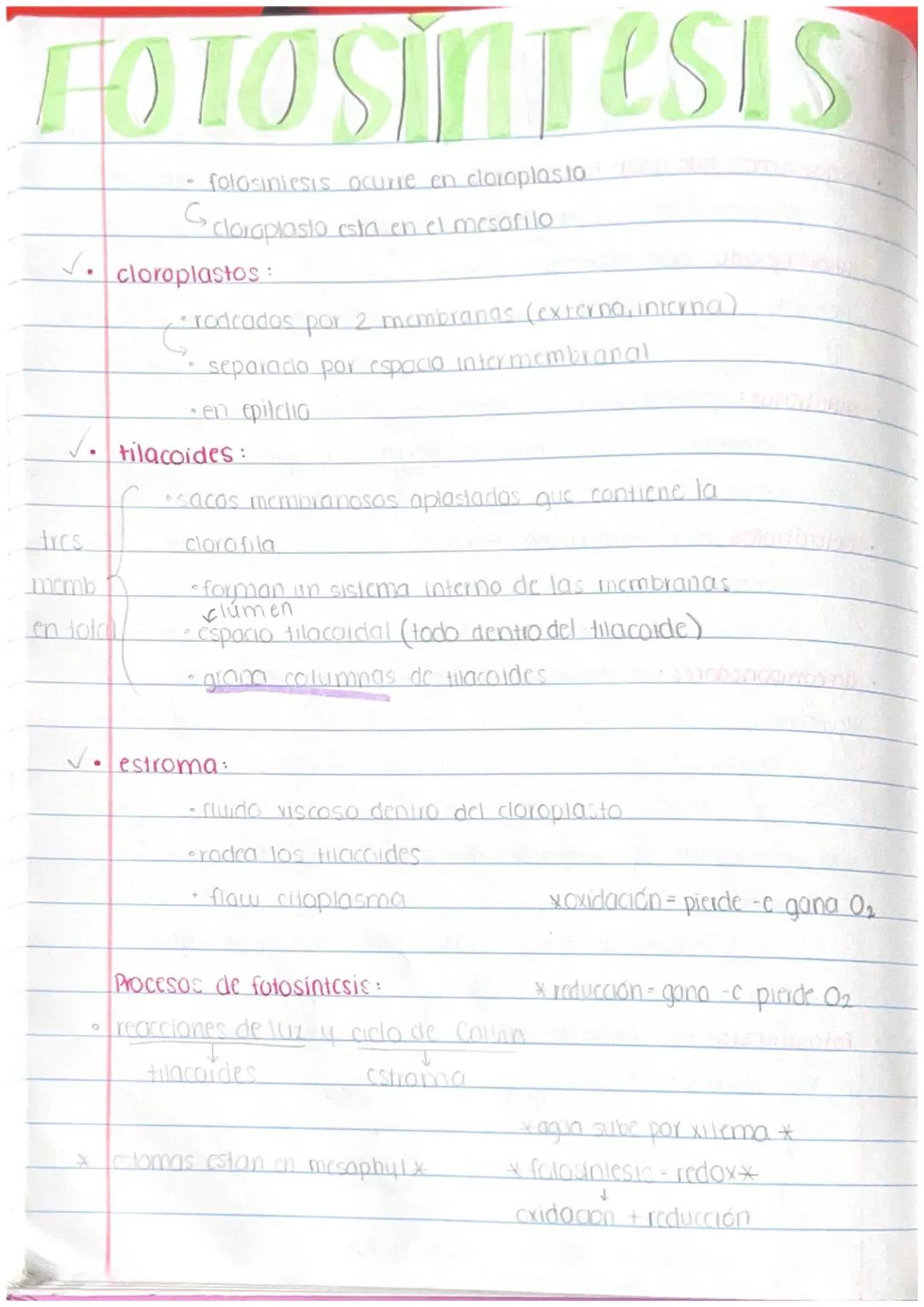 # Folosintesis

✓. urganismos que usan fotosintesis:

- planias

  - bactlengs
    (algunas)

* dinoflagelado crea bioluminiscencia *

  ↓

