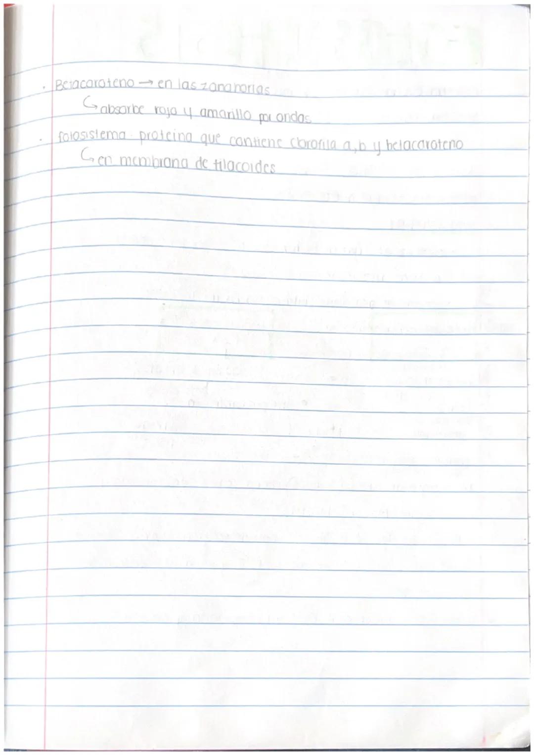 # Folosintesis

✓. urganismos que usan fotosintesis:

- planias

  - bactlengs
    (algunas)

* dinoflagelado crea bioluminiscencia *

  ↓

