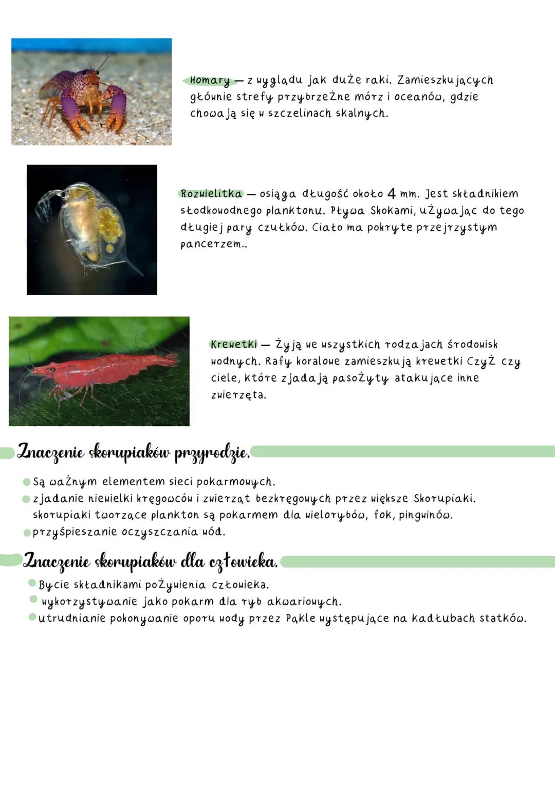 # Stawonogi

### Gdzie występują stawonogi?

Stawonogi Żyją niemal we wszystkich typach środowisk. Na jliczniej występują na lądzie, na
wszy
