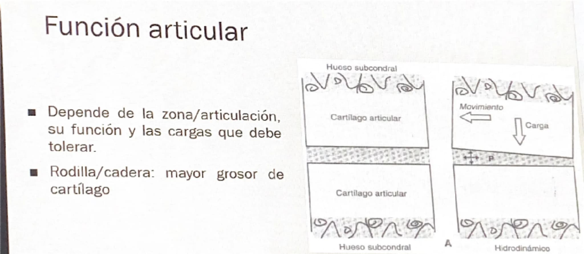 Acrobat
que sigas en Vista protegida. Habilitar edición
9
8
76
S
4
3
210123
Grabar Presentar en Teams
45
67
B
9
10 11 12 13 14 15 16

# Cart