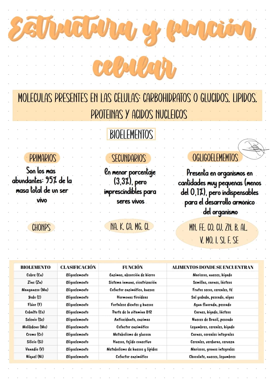 Campus
A4 8mm*21行 40頁
BUS
봄꽃행
Campus
۲۶
A4 YON
0 KOKUYO Sistemas Biológicos |
Clave: 1303
Profesora: Clizabeth Hernandez
Objetivo: Reconocer