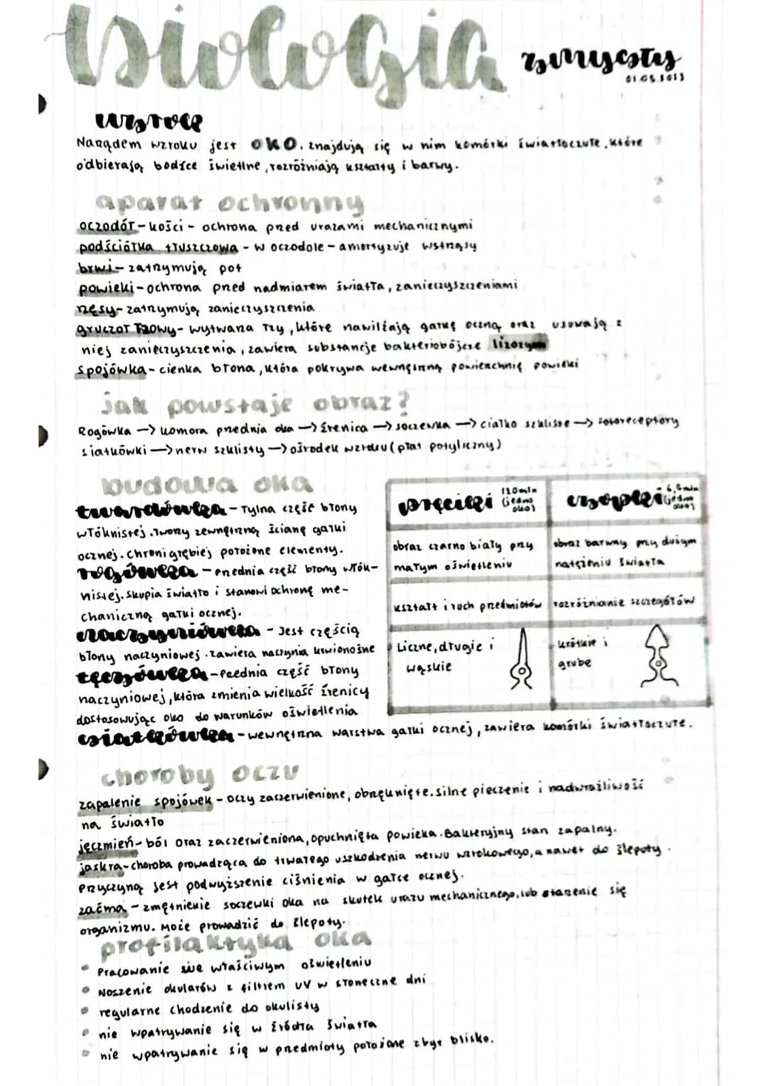 # biologia

wsrve
zmysły
01055013

Narądem wzroku jest OKO. znajdują się w nim komórki Ewiattoczute, ustre
o'dbierają bodice świetlne, rozró
