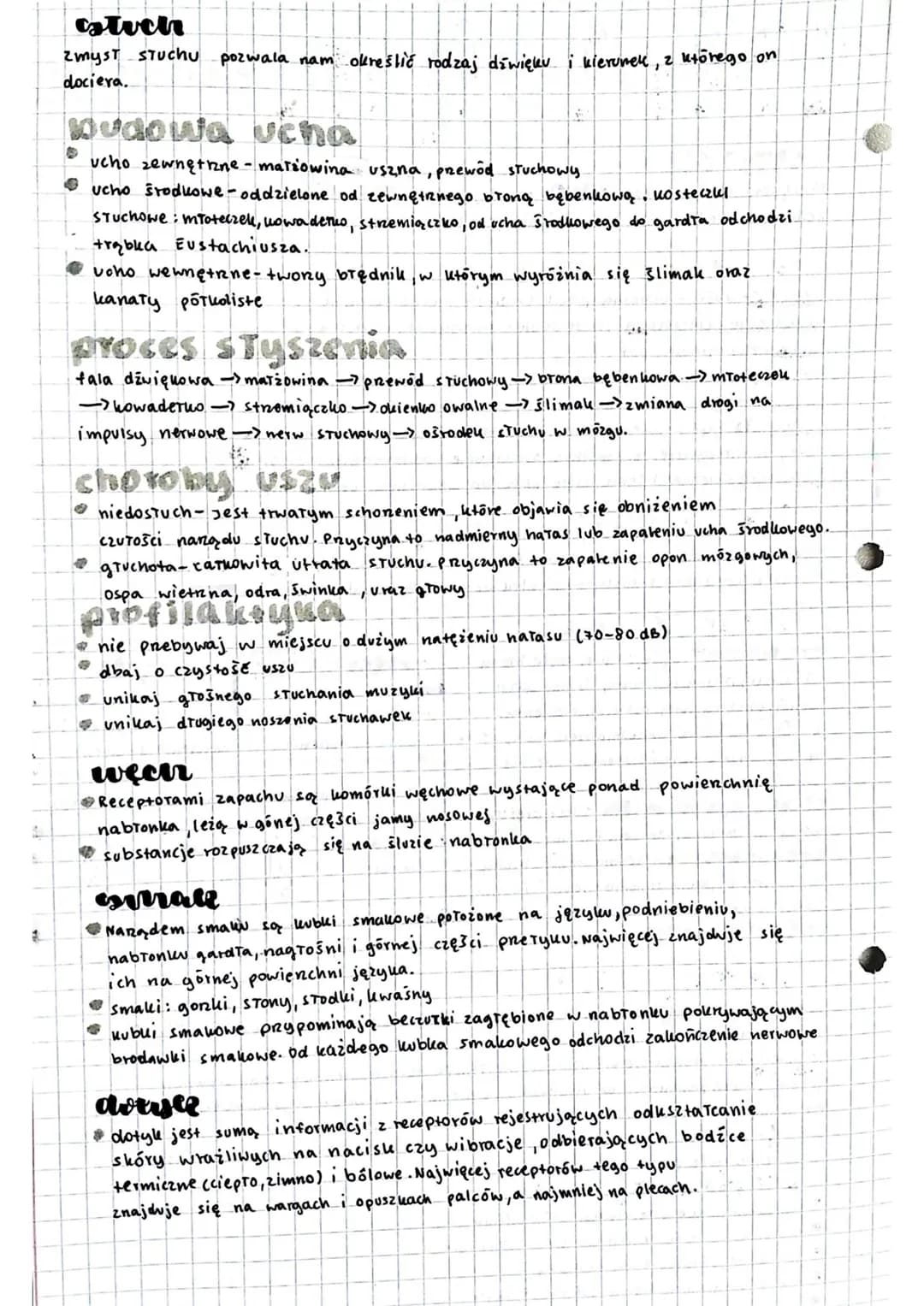 # biologia

wsrve
zmysły
01055013

Narądem wzroku jest OKO. znajdują się w nim komórki Ewiattoczute, ustre
o'dbierają bodice świetlne, rozró