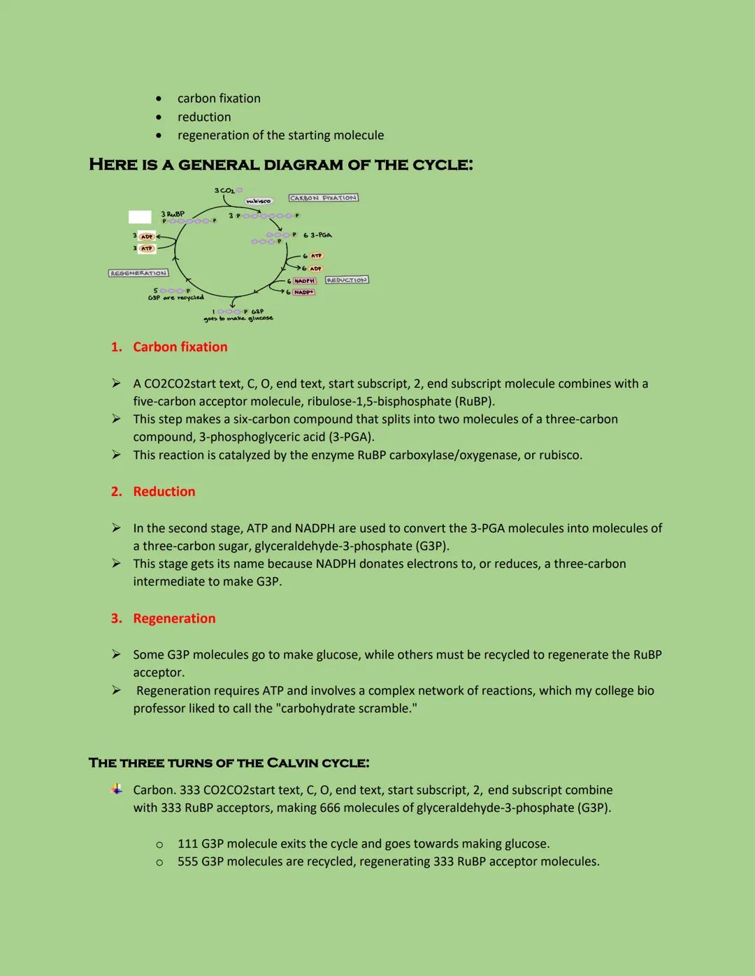 # THE CALVIN CYCLE

➤ also called the light-independent reactions, takes place in the stroma and does not directly
require light. Instead, t