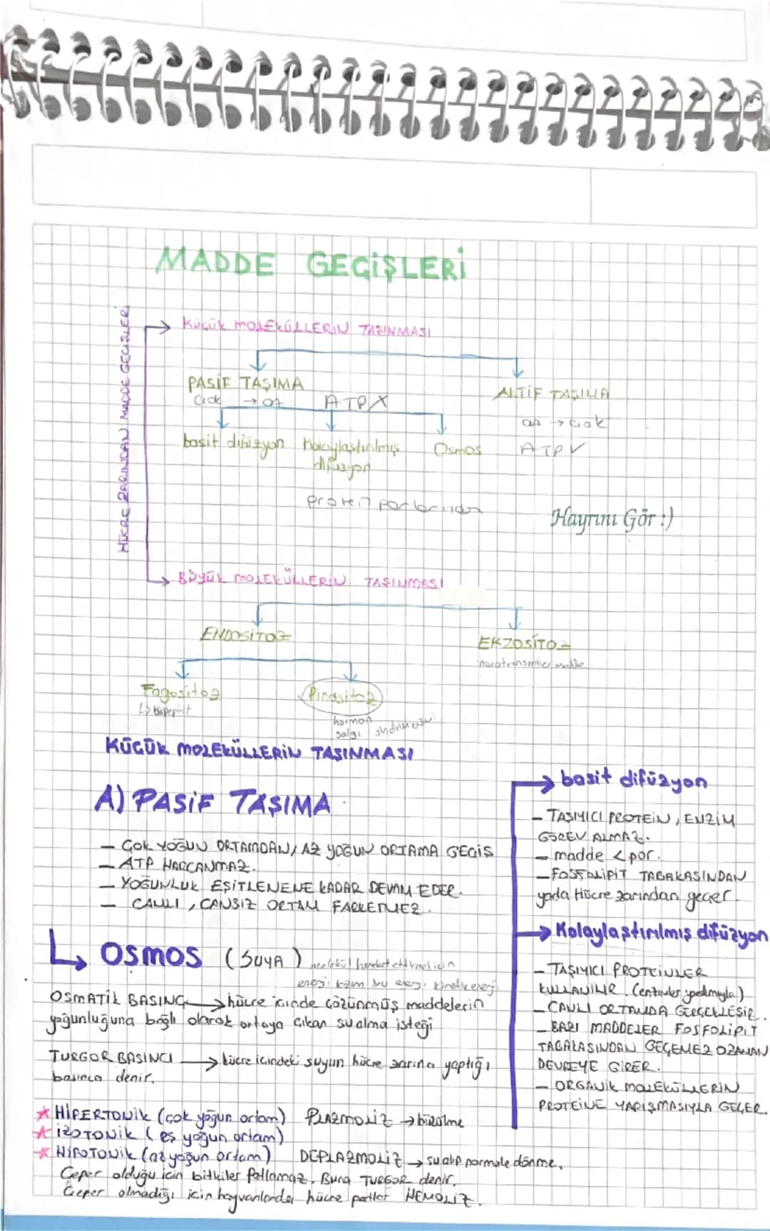 # HICRE PARINDAN MACCE GECISLER

# MADDE GEGİŞLERİ

→Küçük MOLEKULLERIN TAŞINMASI

↓

PASİF TAŞIMA

adet

basit dibizyon hoaylaştış

ALTIF T