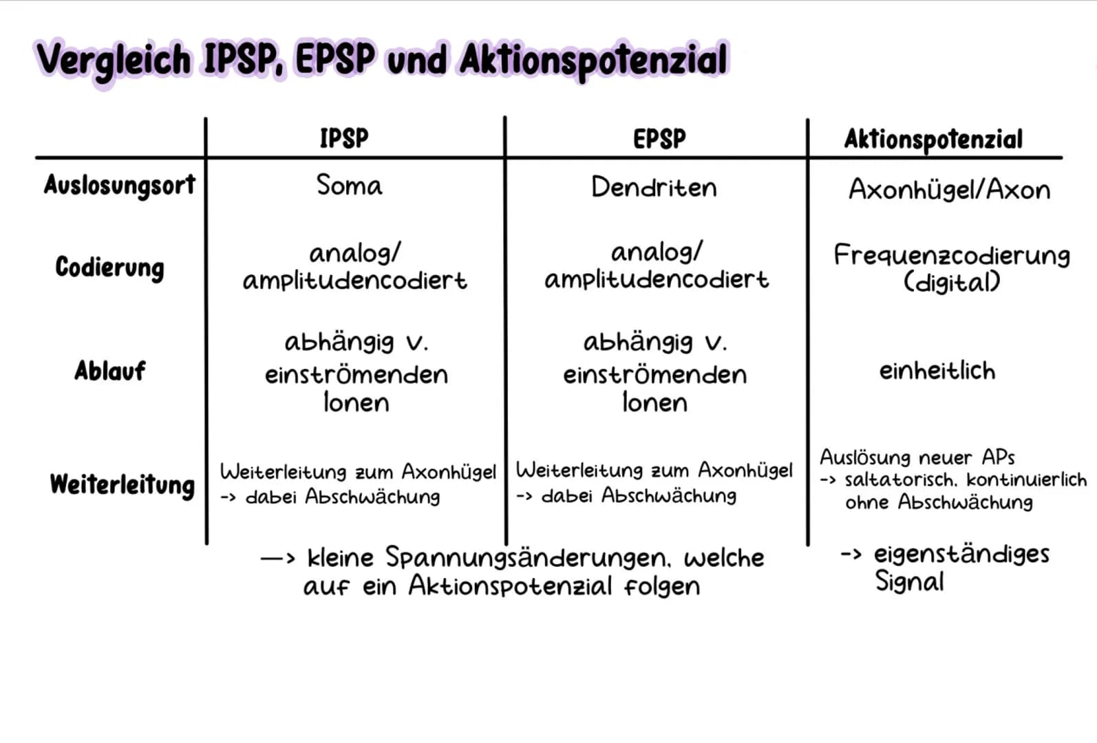 # Neurobiologie # Aufbau & Funktion der Nervenzelle

-Dendriten
-Axonhügel
-Axon
Hüllzellen
(Schwann-Zellen)

-Synapsen
-Ranviersche Schnürr