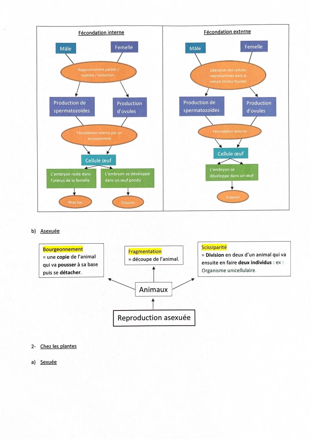 # Fiche de révisions Brevet: La reproduction sexuelle

|-

Rappels

✓ Chez l'espèce humaine, deux hommes ou deux femmes ne peuvent pas engen