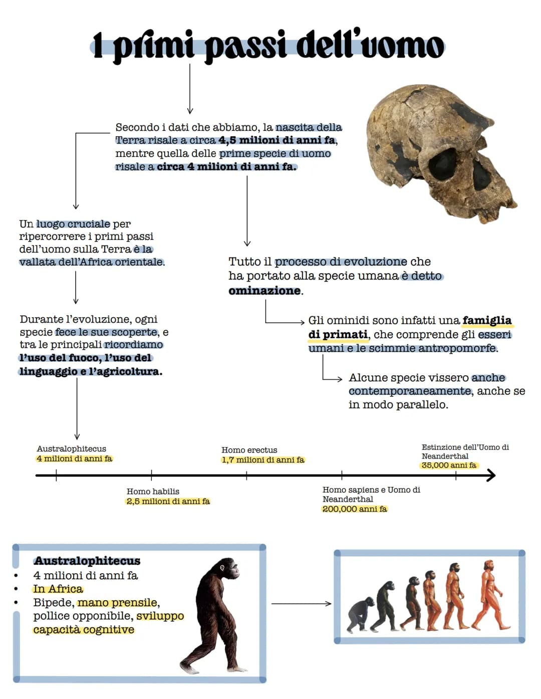 # 1 primi passi dell'uomo

Secondo i dati che abbiamo, la nascita della
Terra risale a circa 4,5 milioni di anni fa,
mentre quella delle pri