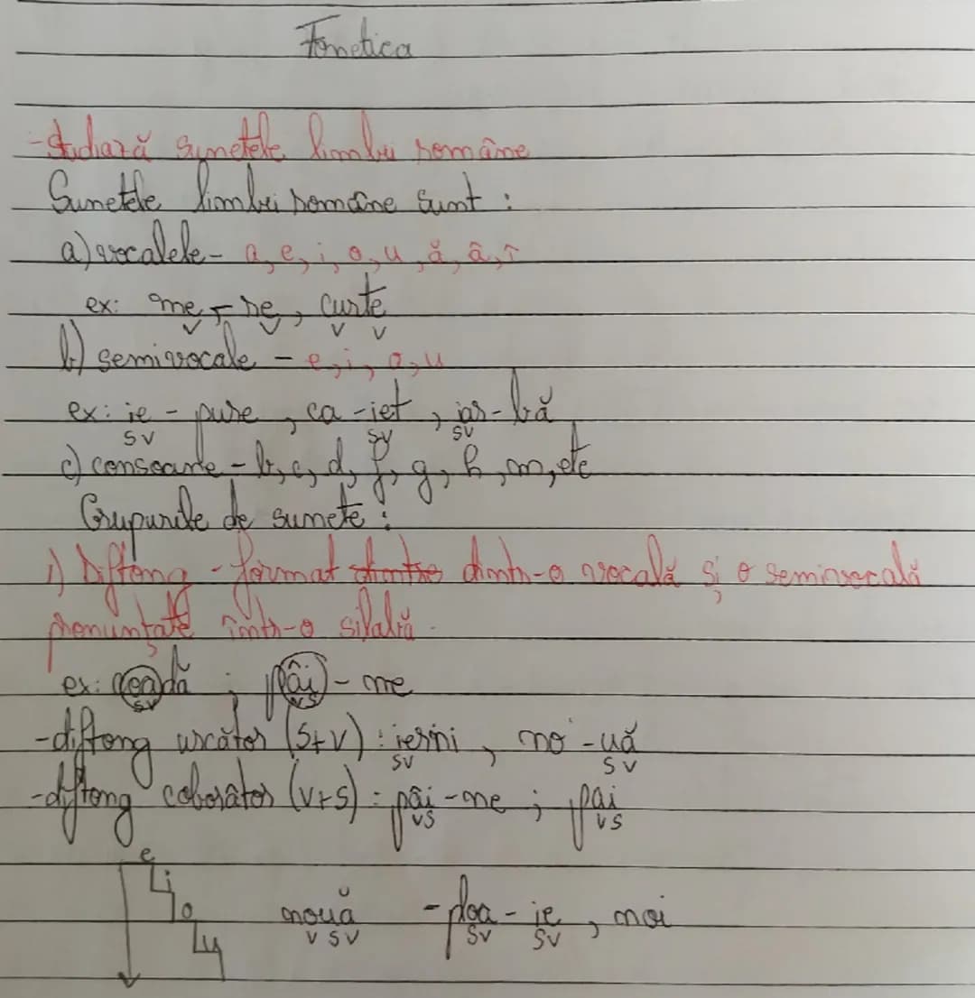 Fonetica

-Studiază sunetele limbu române
Sunetele limbei somaine sunt :
a) escalele - a, e, i, o, u, a, â, î
ex: me-, de, curte
b) semivoca