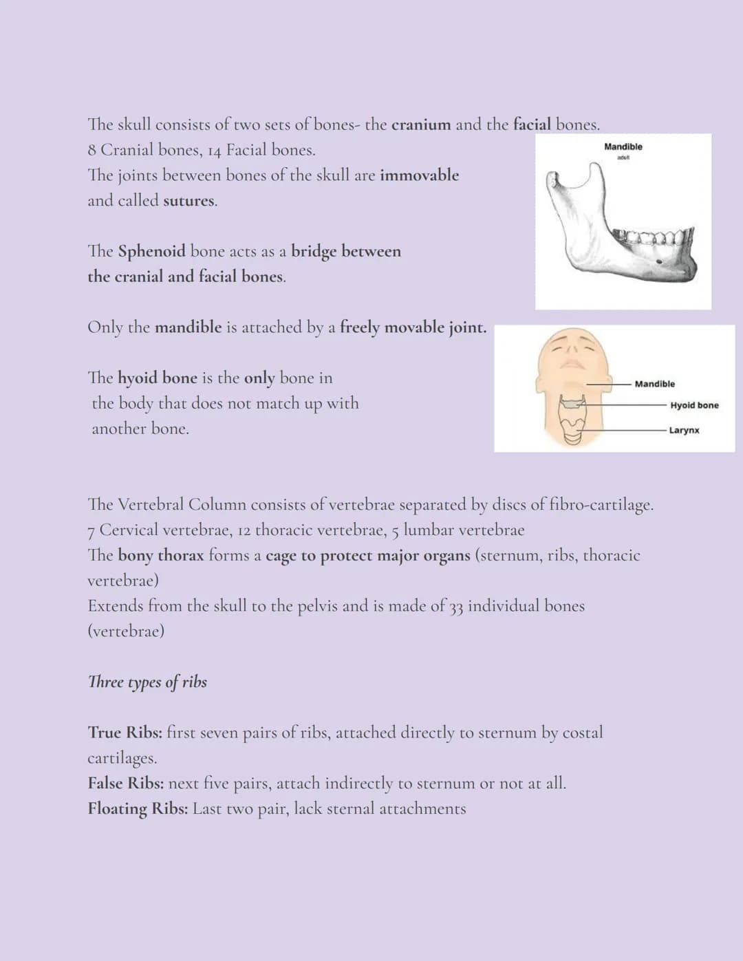 # Skeletal System

## OVERVIEW

The skeleton, composed of bones, cartilages, joints, and ligaments, accounts for
about 20% of body mass.
The