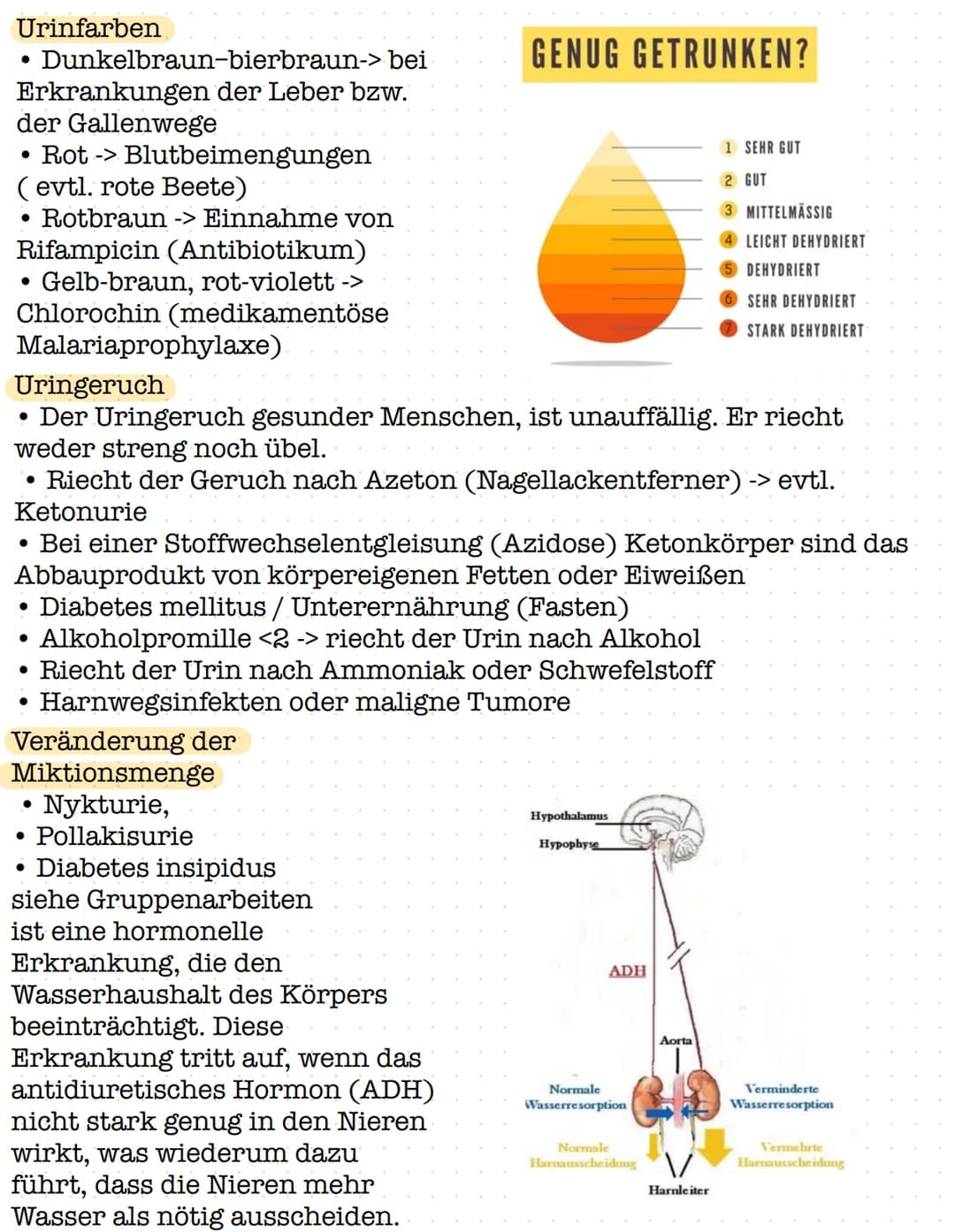 # Urin Ausscheidung beobachten

Die Beobachtung der
Ausscheidungen ist ein
wichtiger und
aufschlussreicher Teil
pflegerischen Handelns

Es k