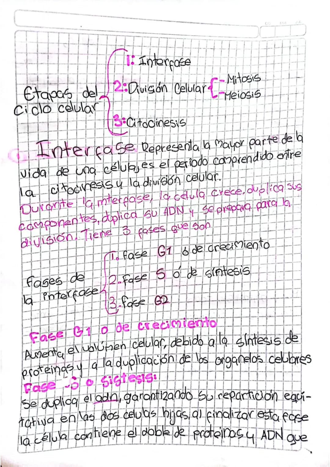 # Núcleo Celular

Es una estructura de forma esferica u ovoide, que
Se ubica generalmente en el centro de la célula
eucariota y almacena la 