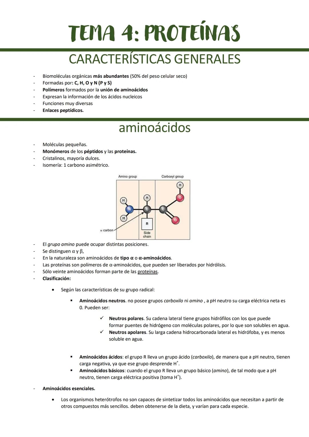# TEMA 4: PROTEÍNAS

## CARACTERÍSTICAS GENERALES

- Biomoléculas orgánicas más abundantes (50% del peso celular seco)
- Formadas por: C, H,