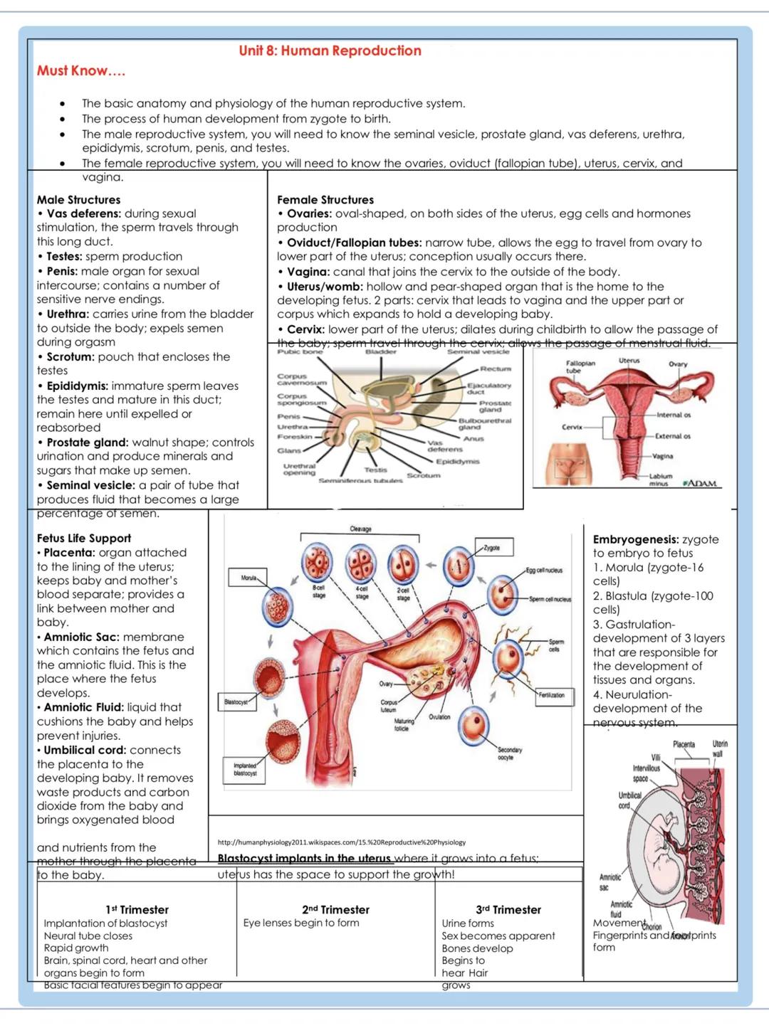 # Must Know....
Unit 8: Human Reproduction

- The basic anatomy and physiology of the human reproductive system.
- The process of human deve
