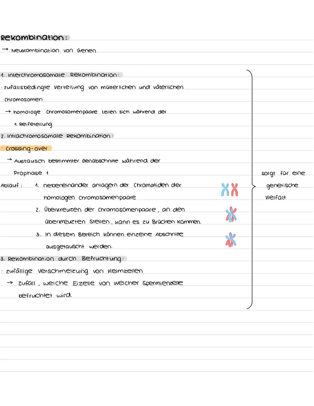 # biologie abibur

GK 2023

INHALTSFELDER:

1. zellbiologie

1.1 Grundlage

3. ōkologie

3.1 Umweltfaktoren

5. Neurobiologie

5.1 Nervenzel