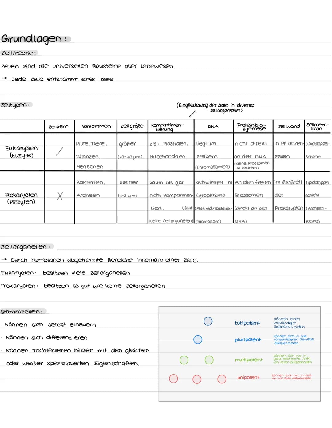 # biologie abibur

GK 2023

INHALTSFELDER:

1. zellbiologie

1.1 Grundlage

3. ōkologie

3.1 Umweltfaktoren

5. Neurobiologie

5.1 Nervenzel