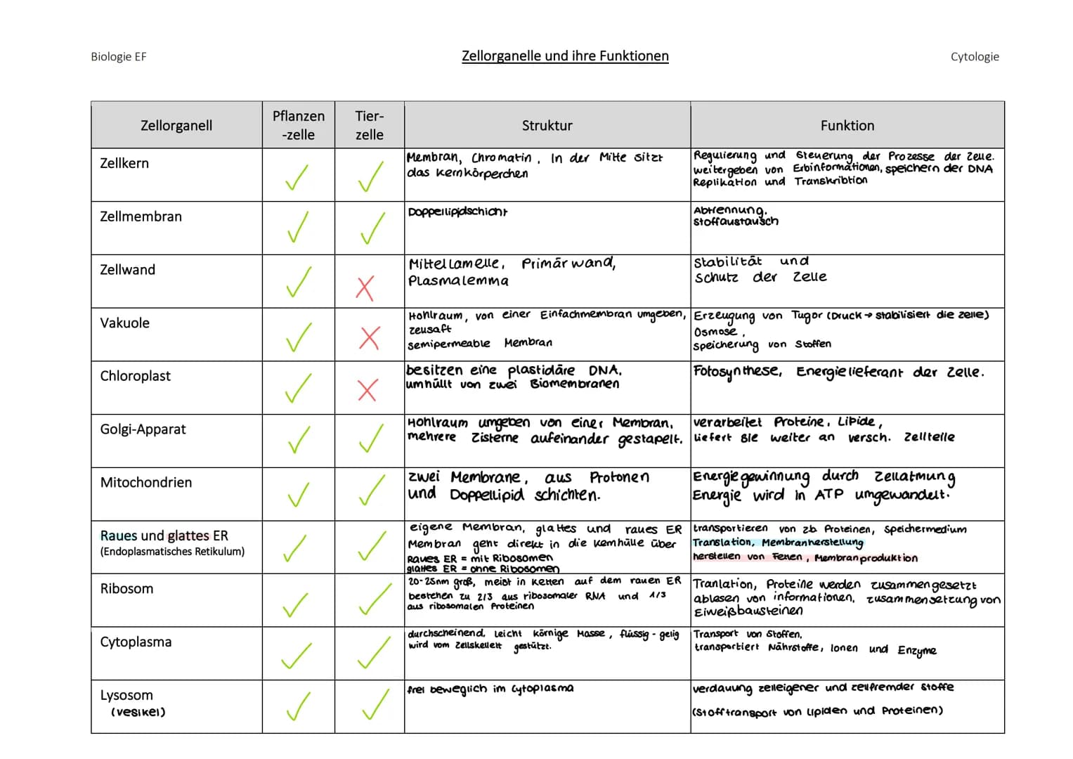 # biologie abibur

GK 2023

INHALTSFELDER:

1. zellbiologie

1.1 Grundlage

3. ōkologie

3.1 Umweltfaktoren

5. Neurobiologie

5.1 Nervenzel
