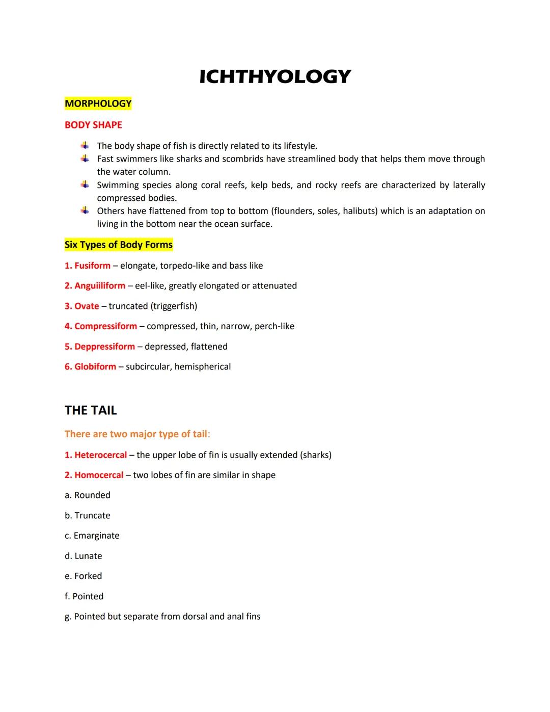 ICHTHYOLOGY

MORPHOLOGY

BODY SHAPE

+ The body shape of fish is directly related to its lifestyle.
+ Fast swimmers like sharks and scombrid