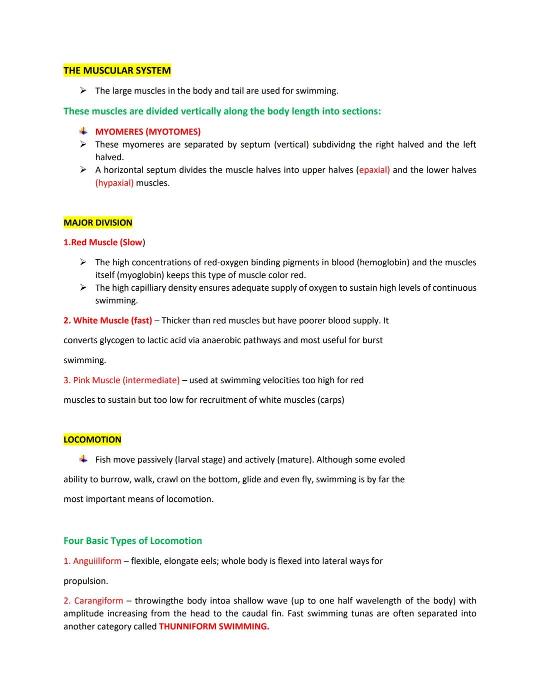 ICHTHYOLOGY

MORPHOLOGY

BODY SHAPE

+ The body shape of fish is directly related to its lifestyle.
+ Fast swimmers like sharks and scombrid