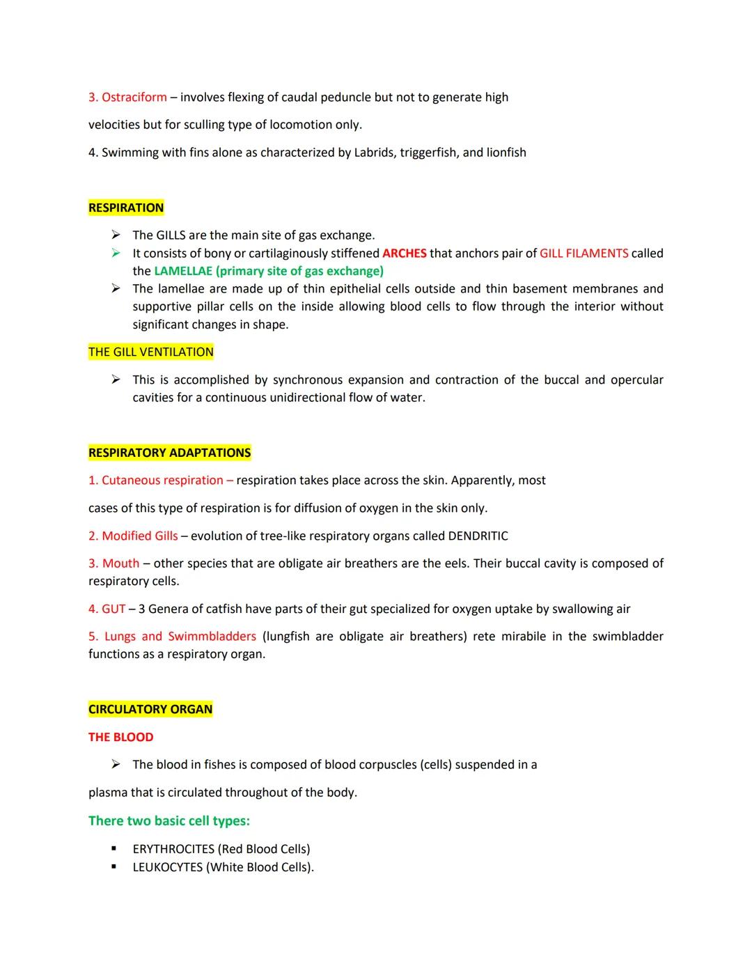 ICHTHYOLOGY

MORPHOLOGY

BODY SHAPE

+ The body shape of fish is directly related to its lifestyle.
+ Fast swimmers like sharks and scombrid