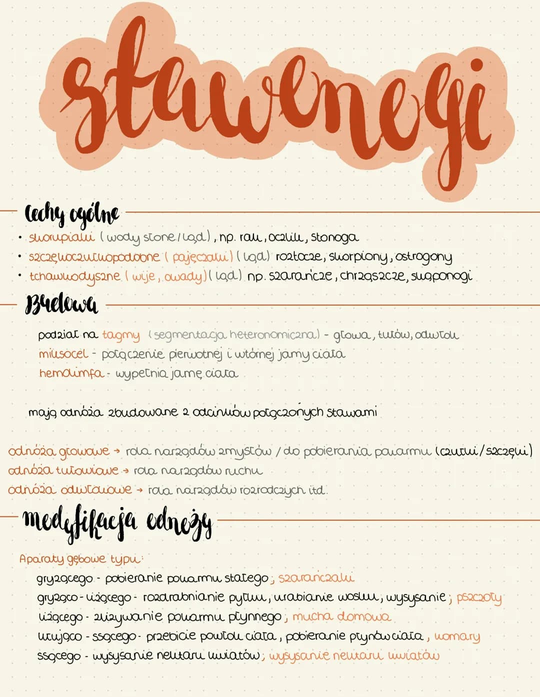 # stawenegi

Cechy ogólne

- shorupialli (wody stone/lad), np. rau, ocalill, Stonoga
- szczę oczu thopodobne (pajęczali) (iga) roztocze, swo