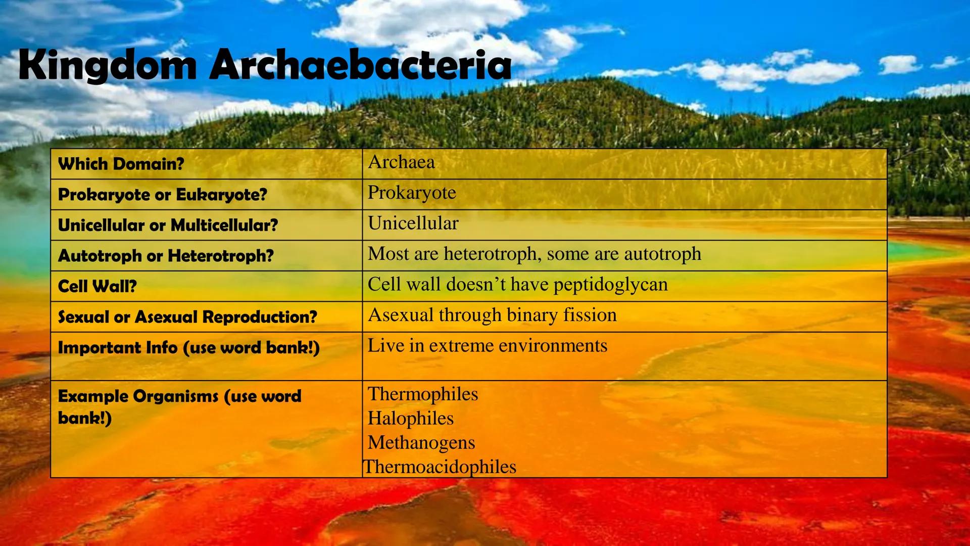 Animals

Plants

Fungi

Protists

Bacteria

Archaea

Kingdom
Characteristics

Instructions: Use
the Classification
Notes, the
textbook, and
