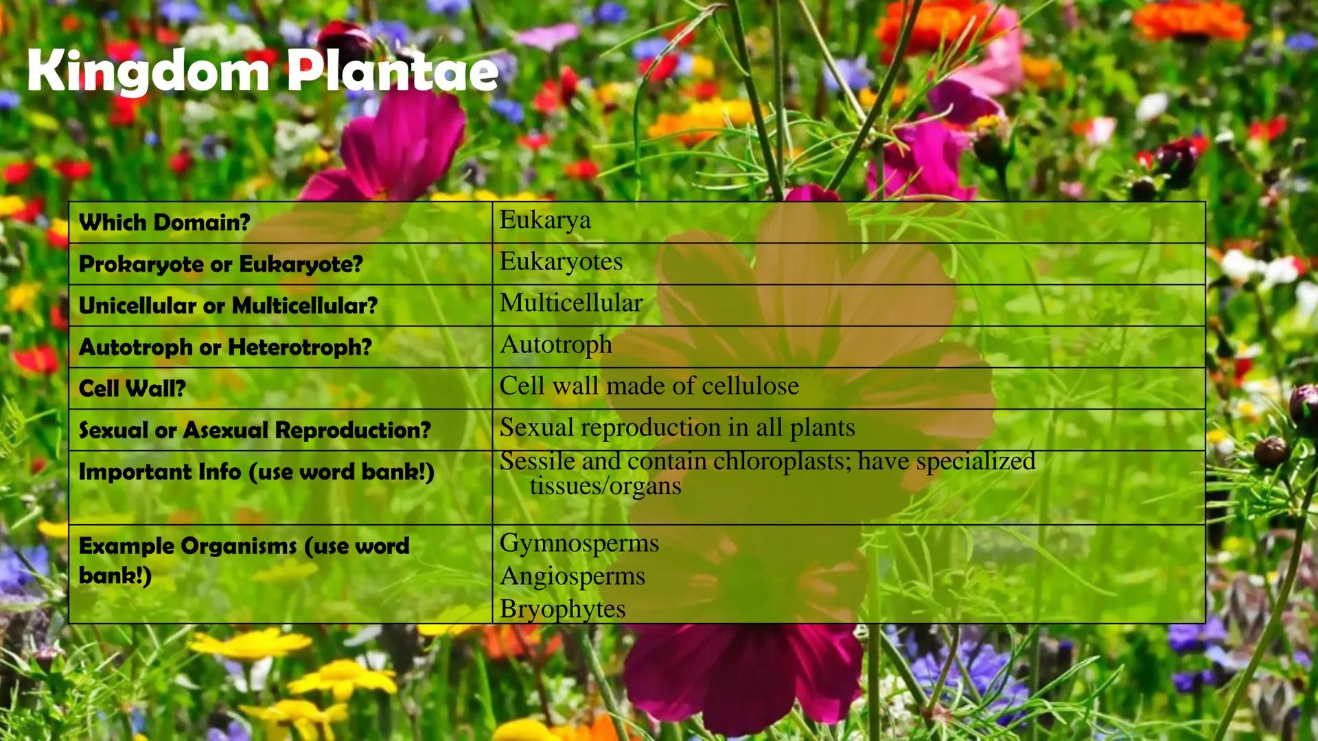 Animals

Plants

Fungi

Protists

Bacteria

Archaea

Kingdom
Characteristics

Instructions: Use
the Classification
Notes, the
textbook, and
