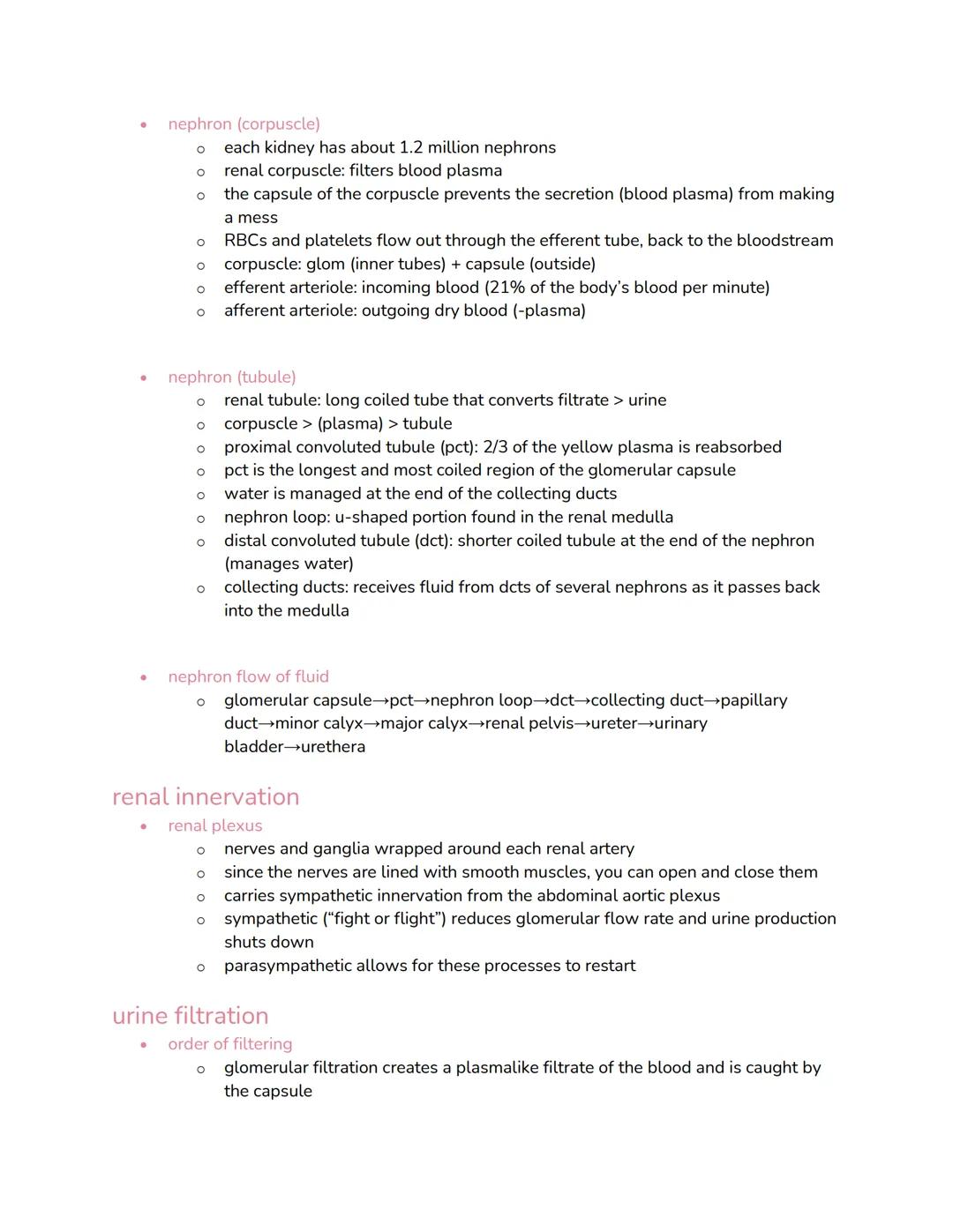 chapter 23: urinary

functions
*   organs
    *   two kidneys + two ureters + urinary bladder + urethra
    *   kidneys > ureters > bladders