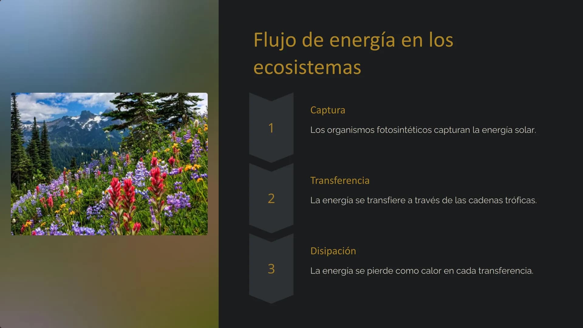 # la Ecología

La ecología es el estudio de las relaciones entre los
organismos y su entorno. Examina cómo interactúan los seres
vivos entre