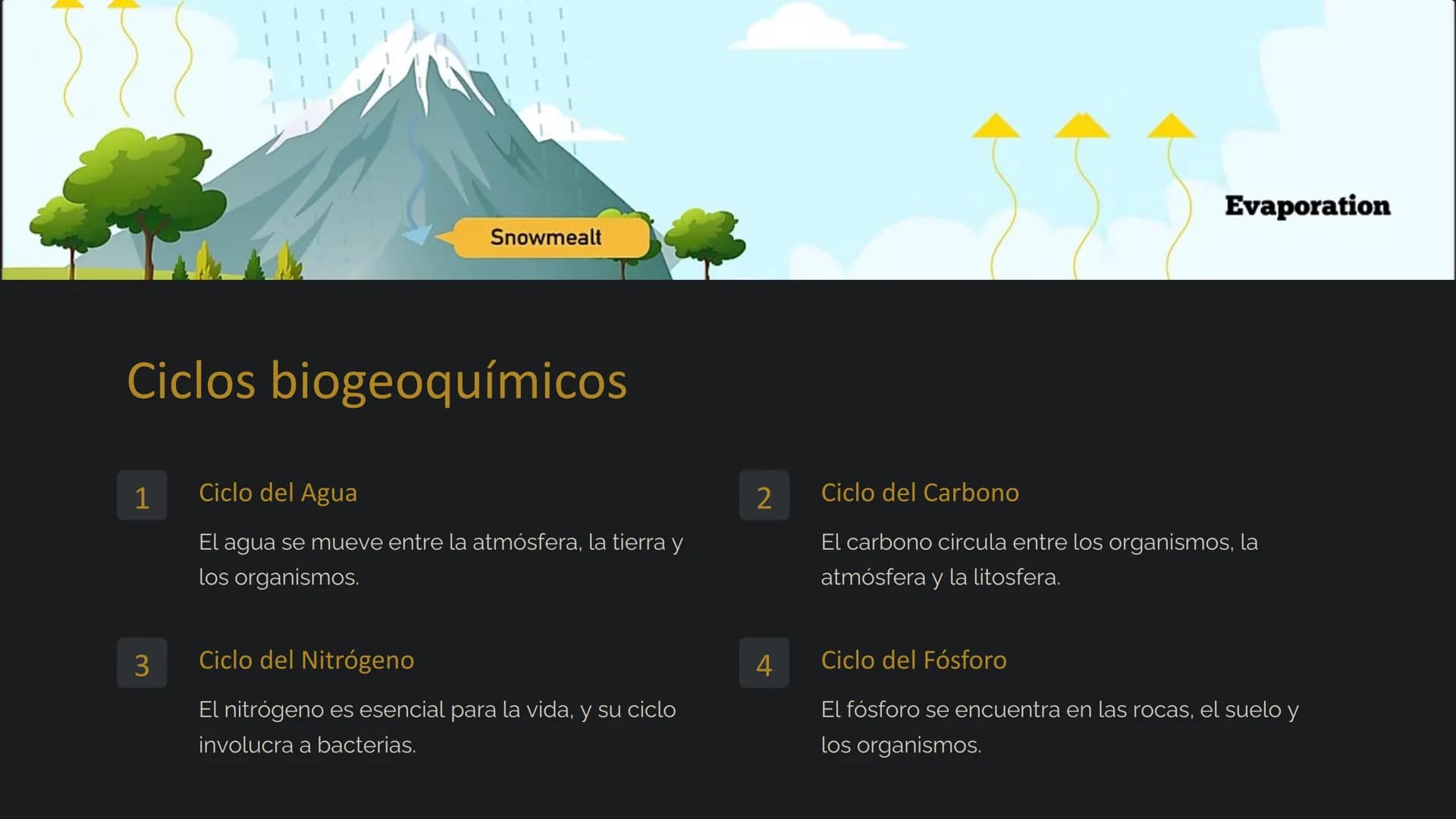 # la Ecología

La ecología es el estudio de las relaciones entre los
organismos y su entorno. Examina cómo interactúan los seres
vivos entre