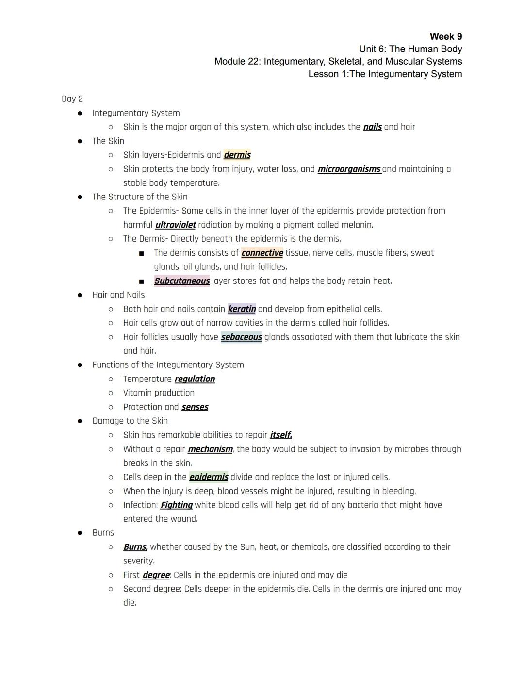 Week 9
Unit 6: The Human Body
Module 22: Integumentary, Skeletal, and Muscular Systems
Lesson 1: The Integumentary System

| Session 1 | Ses