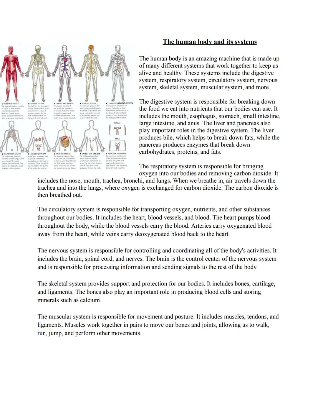 The human body and its systems

The human body is an amazing machine that is made up
of many different systems that work together to keep us