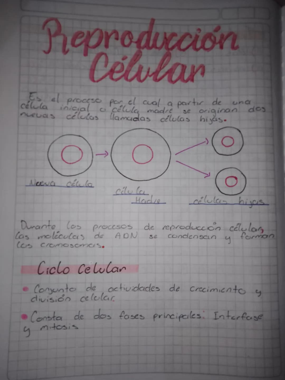 # Preproducción
## Célular
Es el proceso por el cual a partir de una
célula inicial o celula madre se originan dos
nuevas células llamadas c